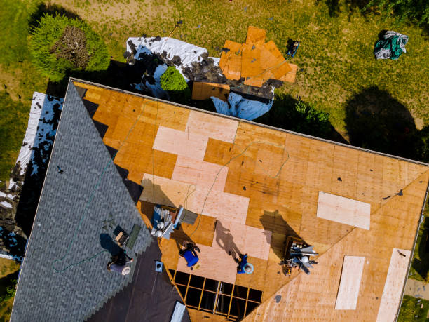 Best Storm Damage Roof Repair  in Glasgow, MO